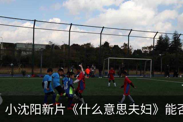 小沈阳新片《什么意思夫妇》能否逆转票房命运？