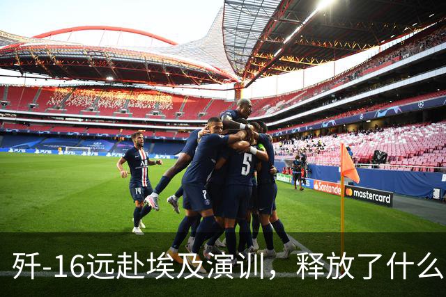歼-16远赴埃及演训，释放了什么信号？